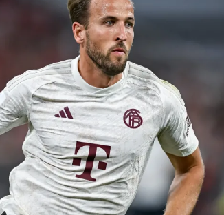 运动的全面 运动的全面