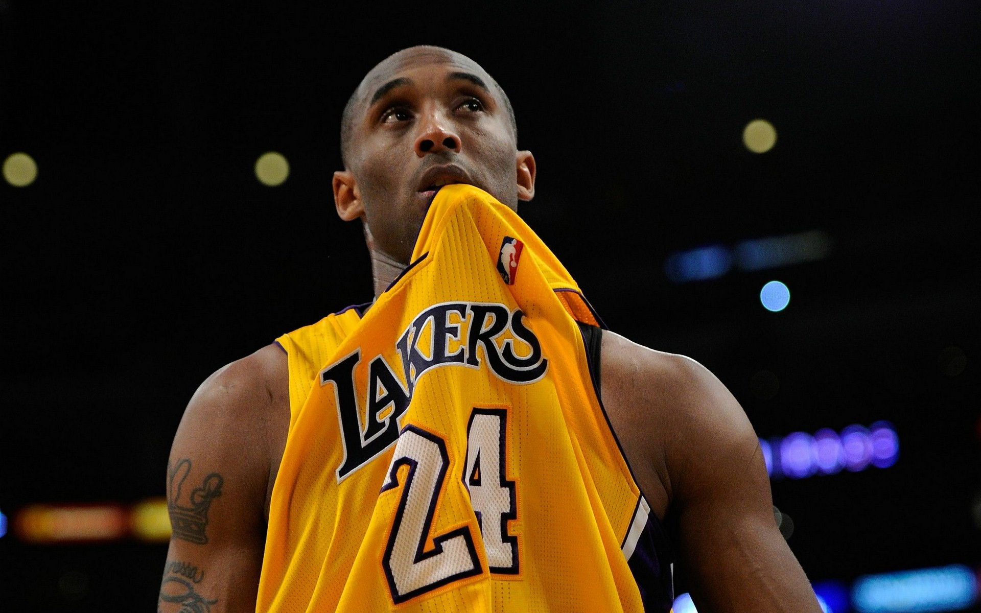 马尔卡宁效 马尔卡宁效