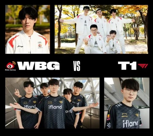 提供参考 提供参考